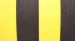  Finis Pull Buoy